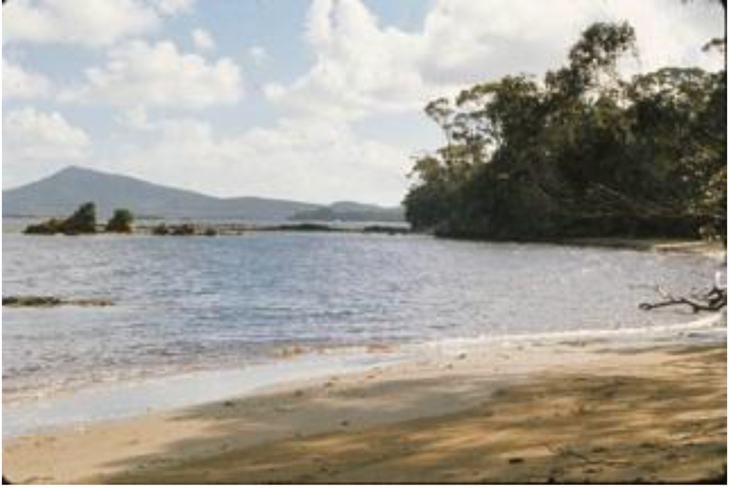 Arts 02 00182 g040 1024