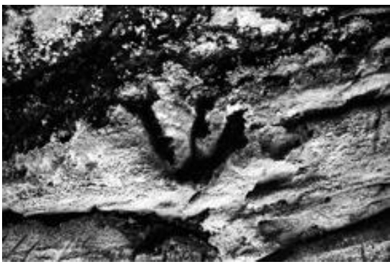 Arts 02 00182 g045 1024