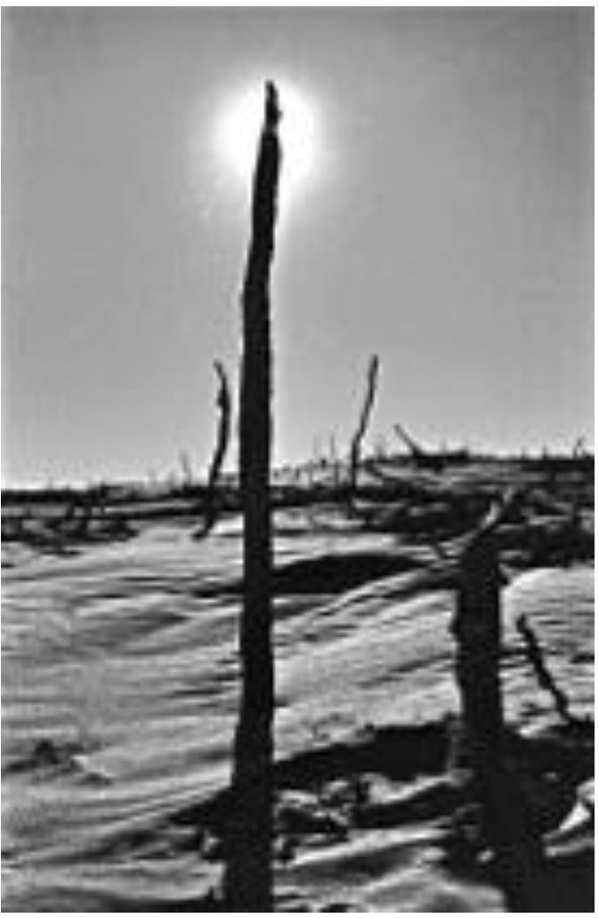 Arts 02 00182 g046 1024