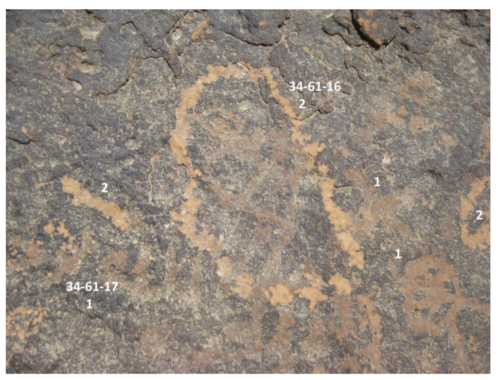 Arts 02 00225 g004 1024