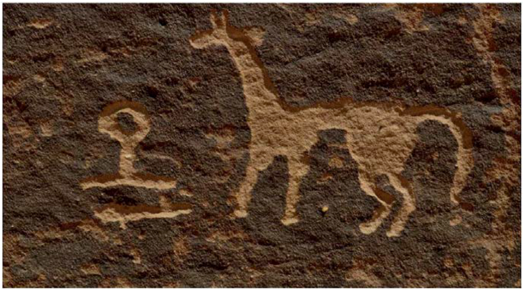 Arts 02 00447 g010 1024