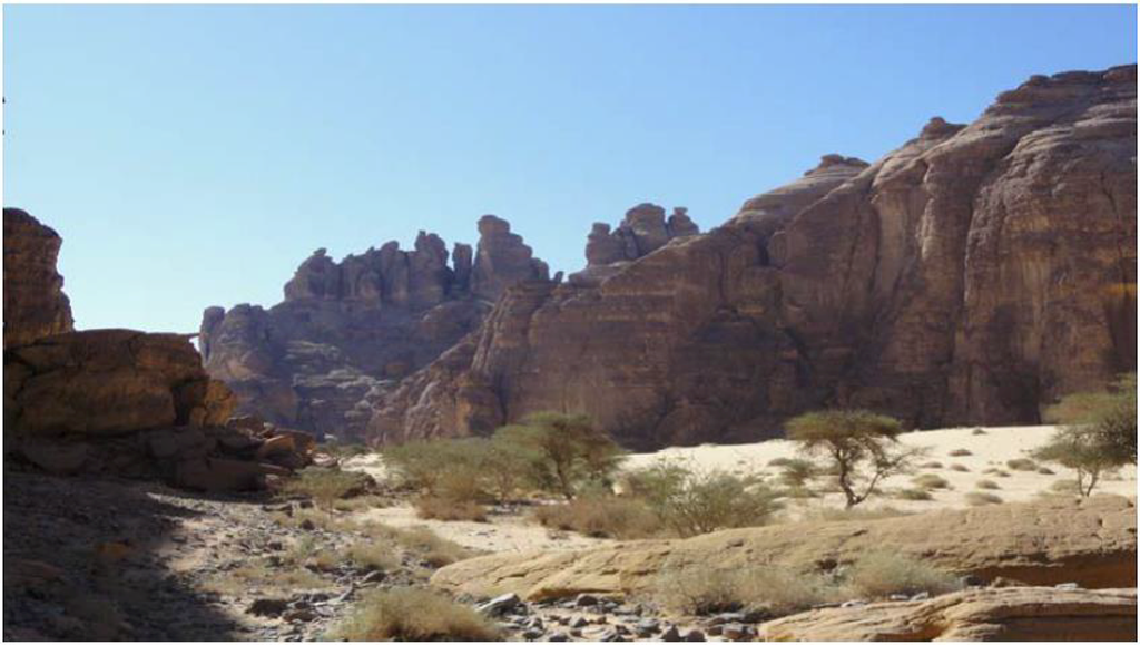 Arts 02 00447 g013 1024