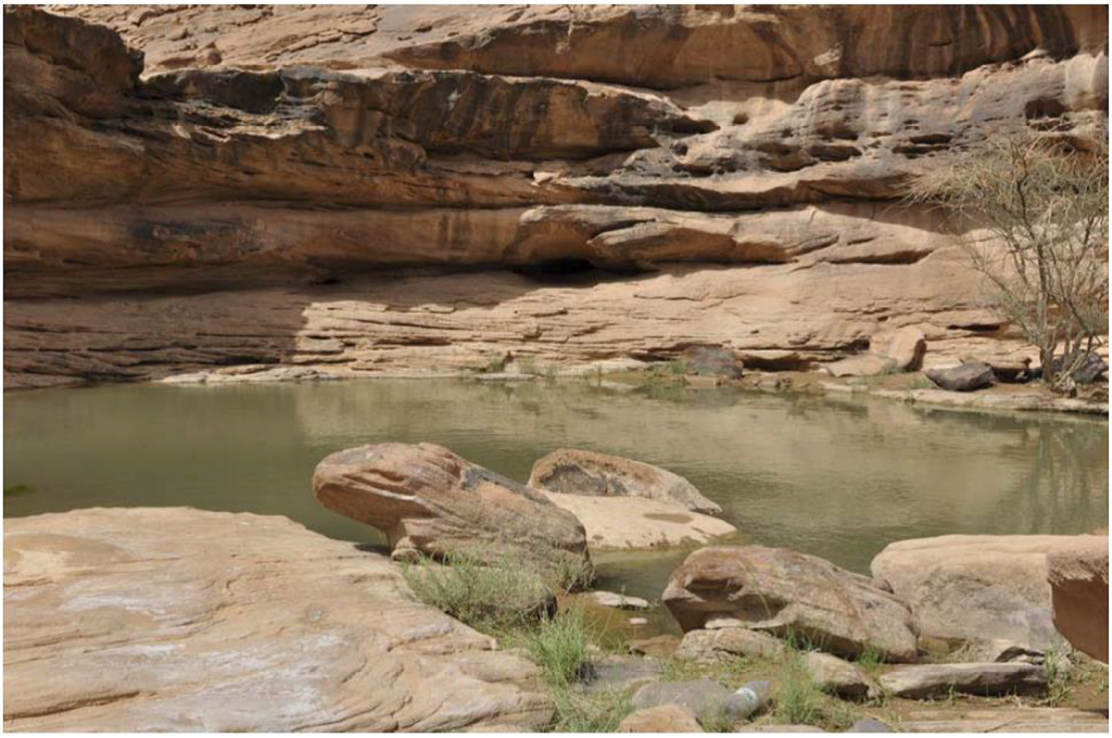 Arts 02 00447 g014 1024