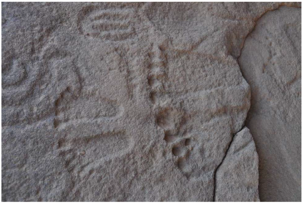 Arts 02 00447 g024 1024