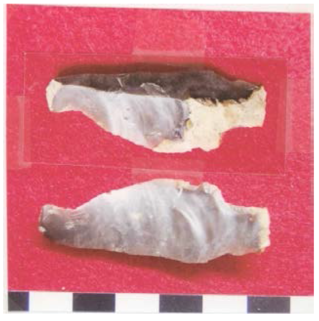 Arts 03 00027 g008 1024