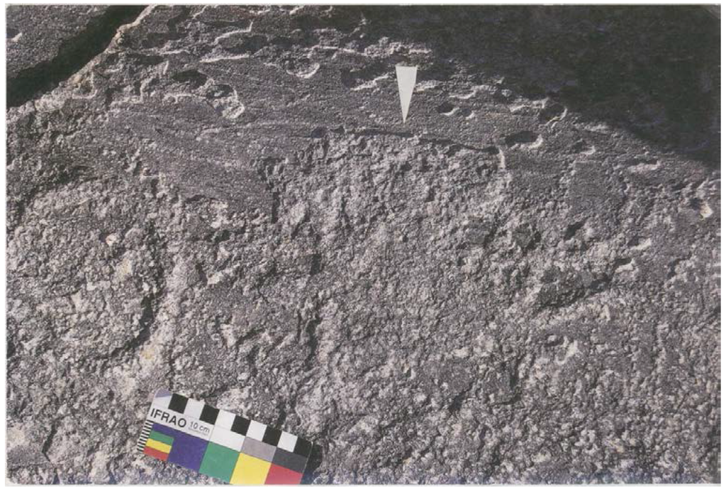 Arts 03 00027 g012 1024