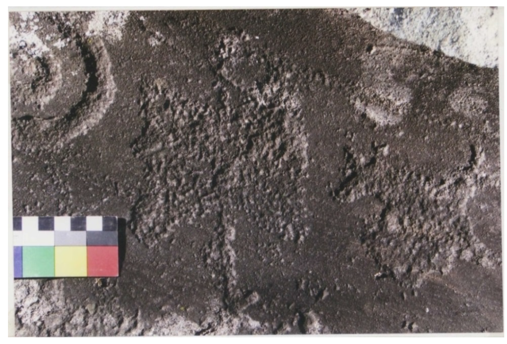 Arts 03 00027 g013 1024