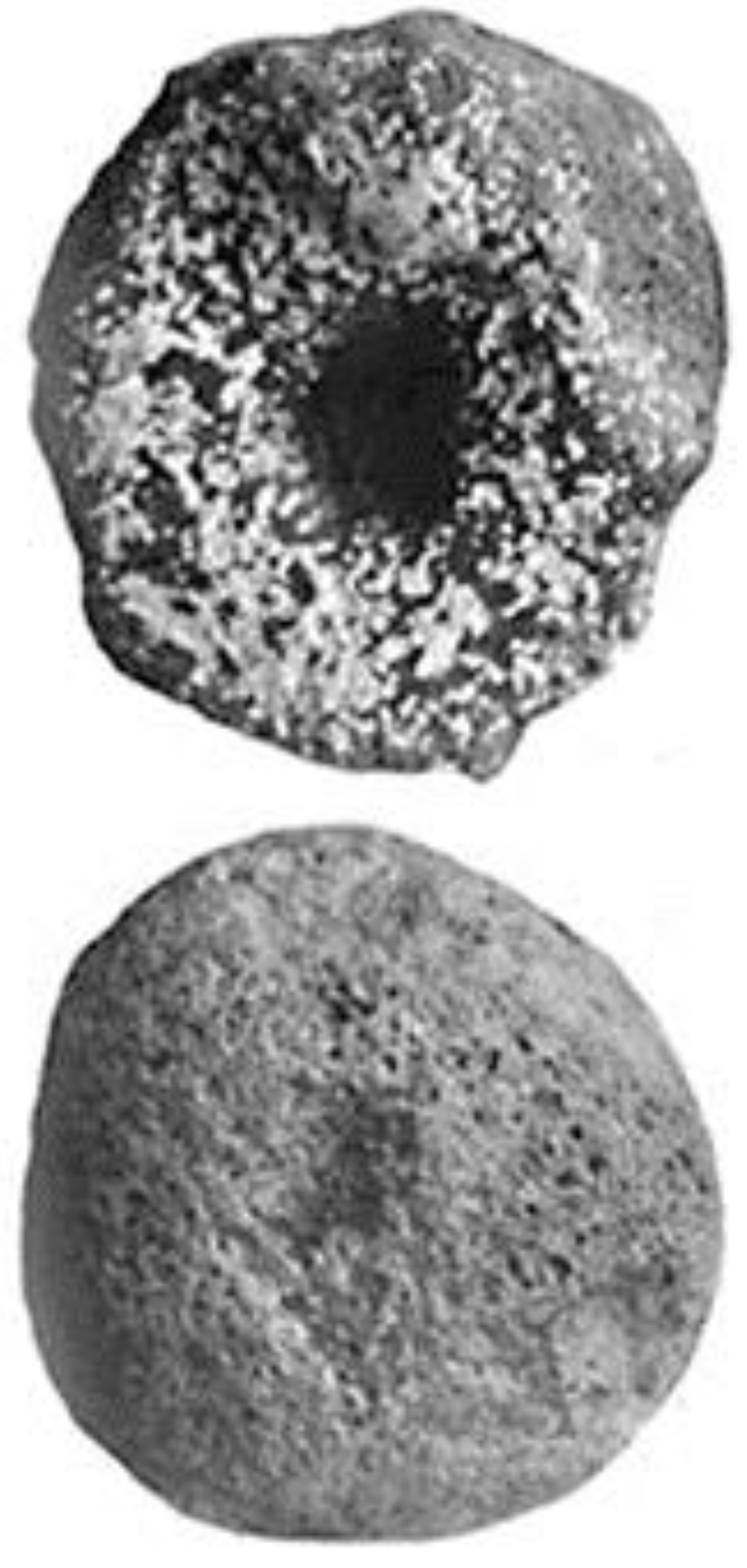 Arts 03 00135 g005 1024