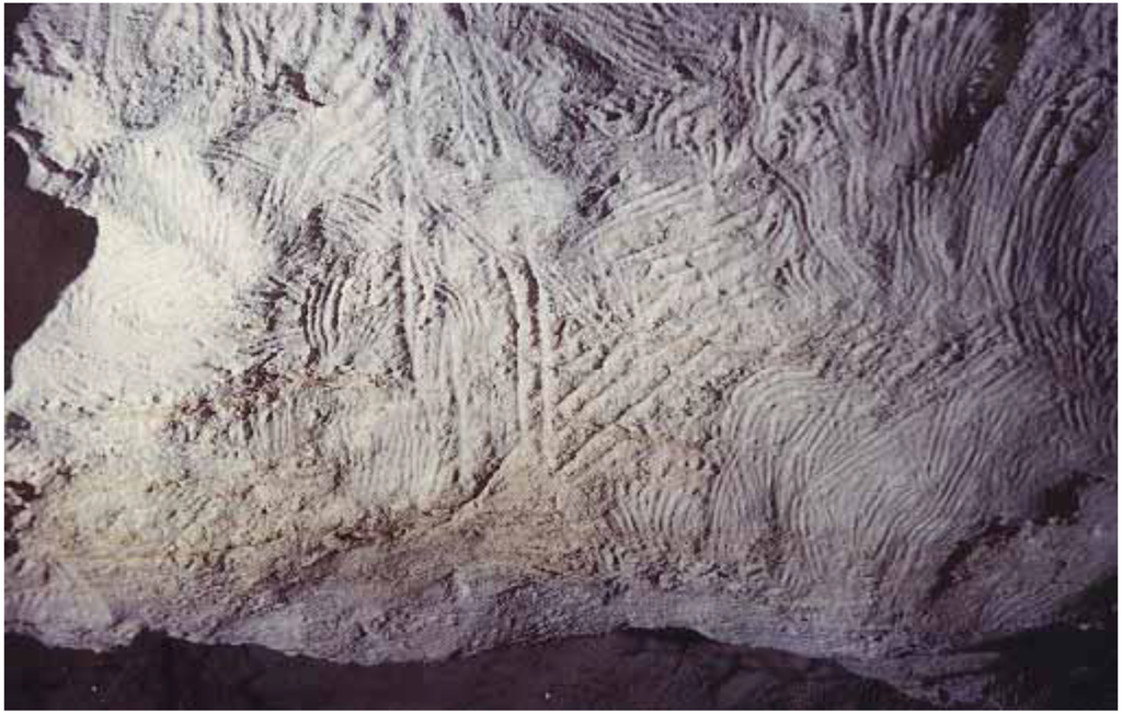 Arts 03 00156 g004 1024