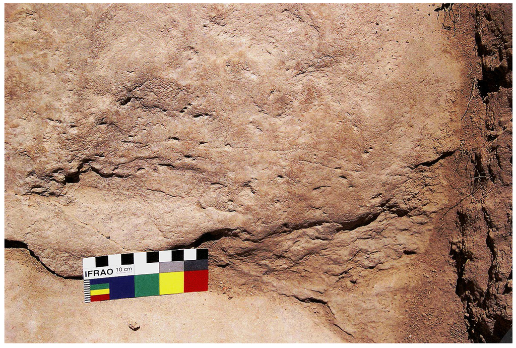 Arts 03 00190 g003 1024