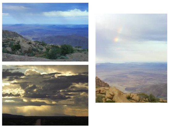 Arts 03 00215 g005 550