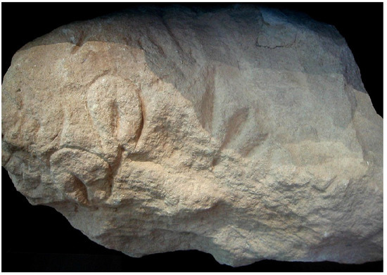 Arts 03 00245 g013 550