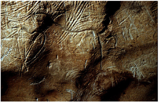 Arts 03 00245 g014 550