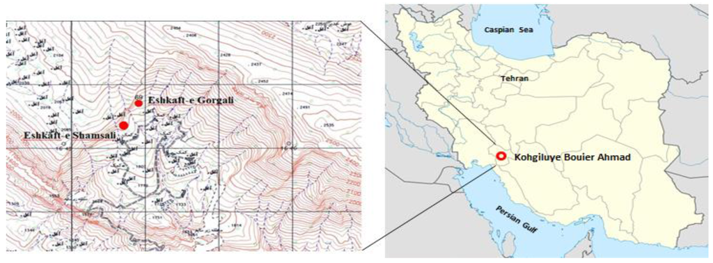 Arts 04 00061 g001 1024