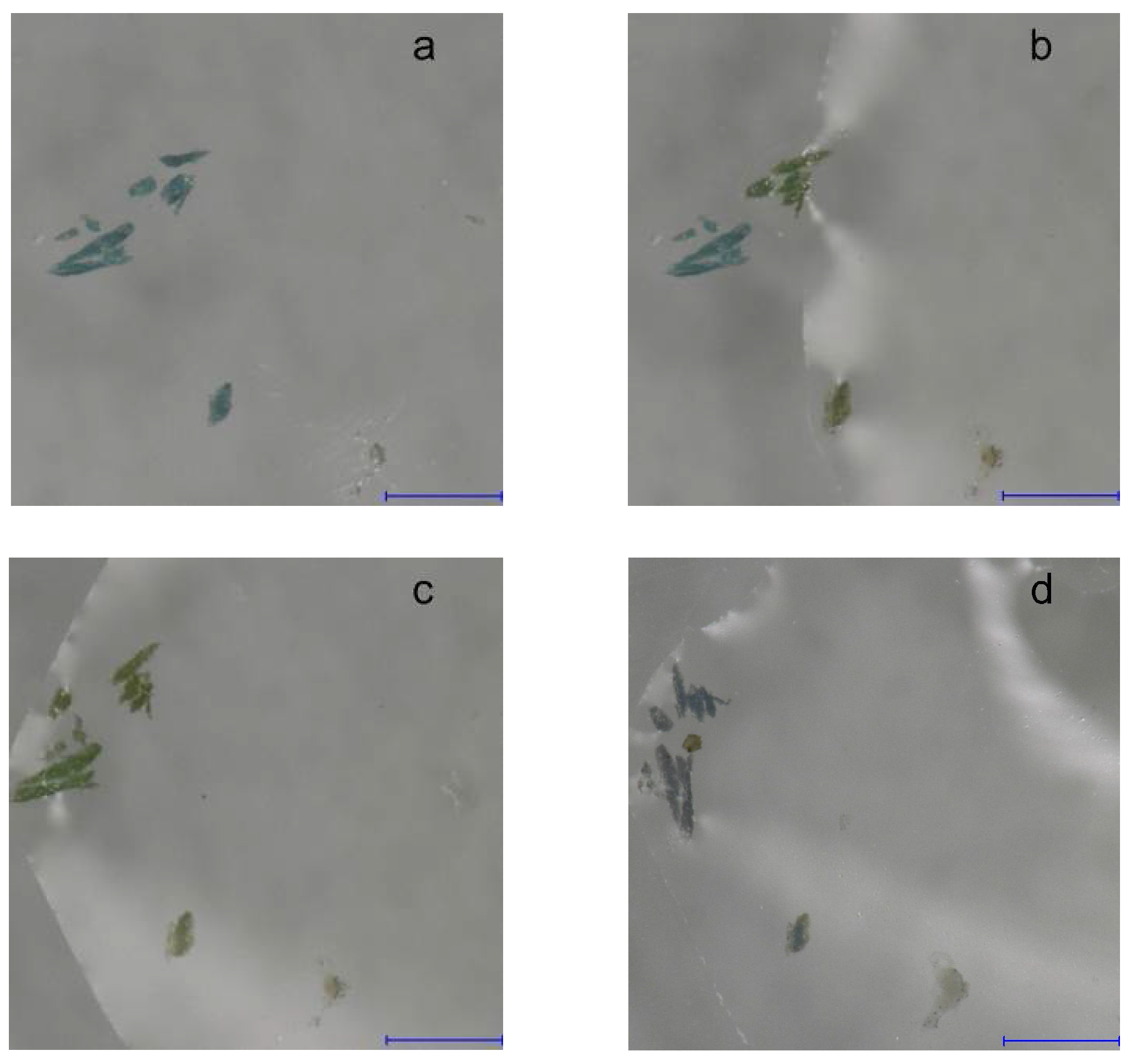 Arts 07 00020 g003 Arts 07 00020 g003