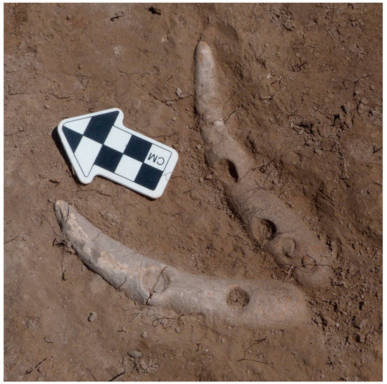 Arts 12 00028 g007 550