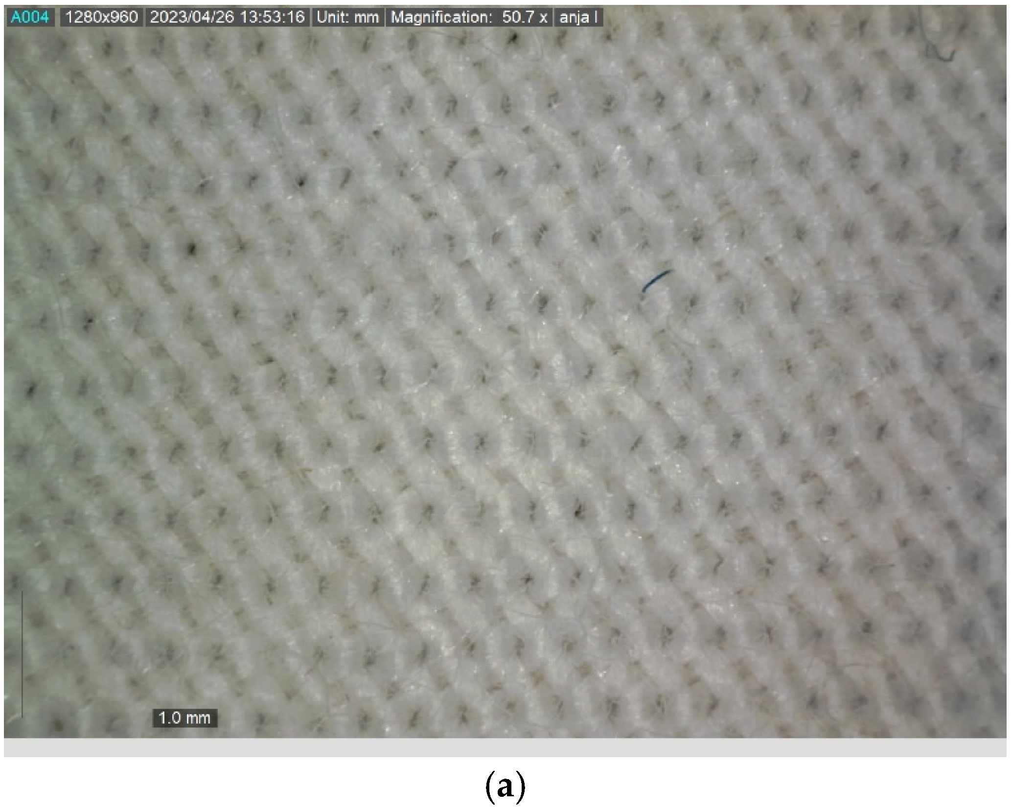 Arts 13 00029 g002a Arts 13 00029 g002a