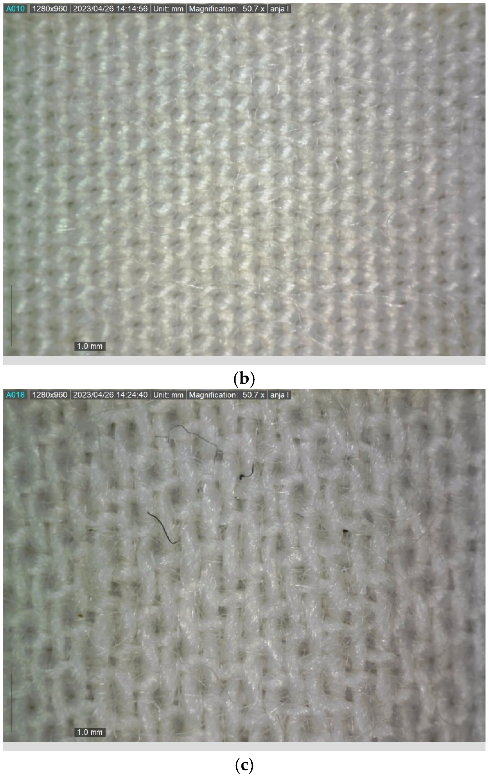 Arts 13 00029 g002b Arts 13 00029 g002b