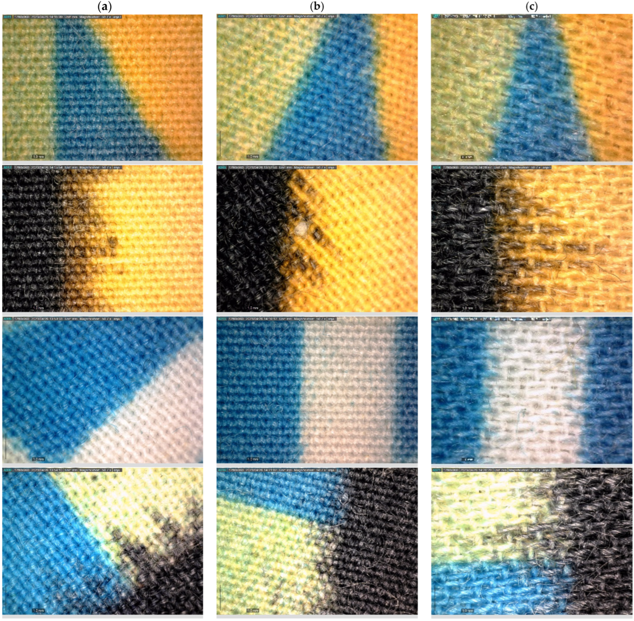 Arts 13 00029 g007 Arts 13 00029 g007