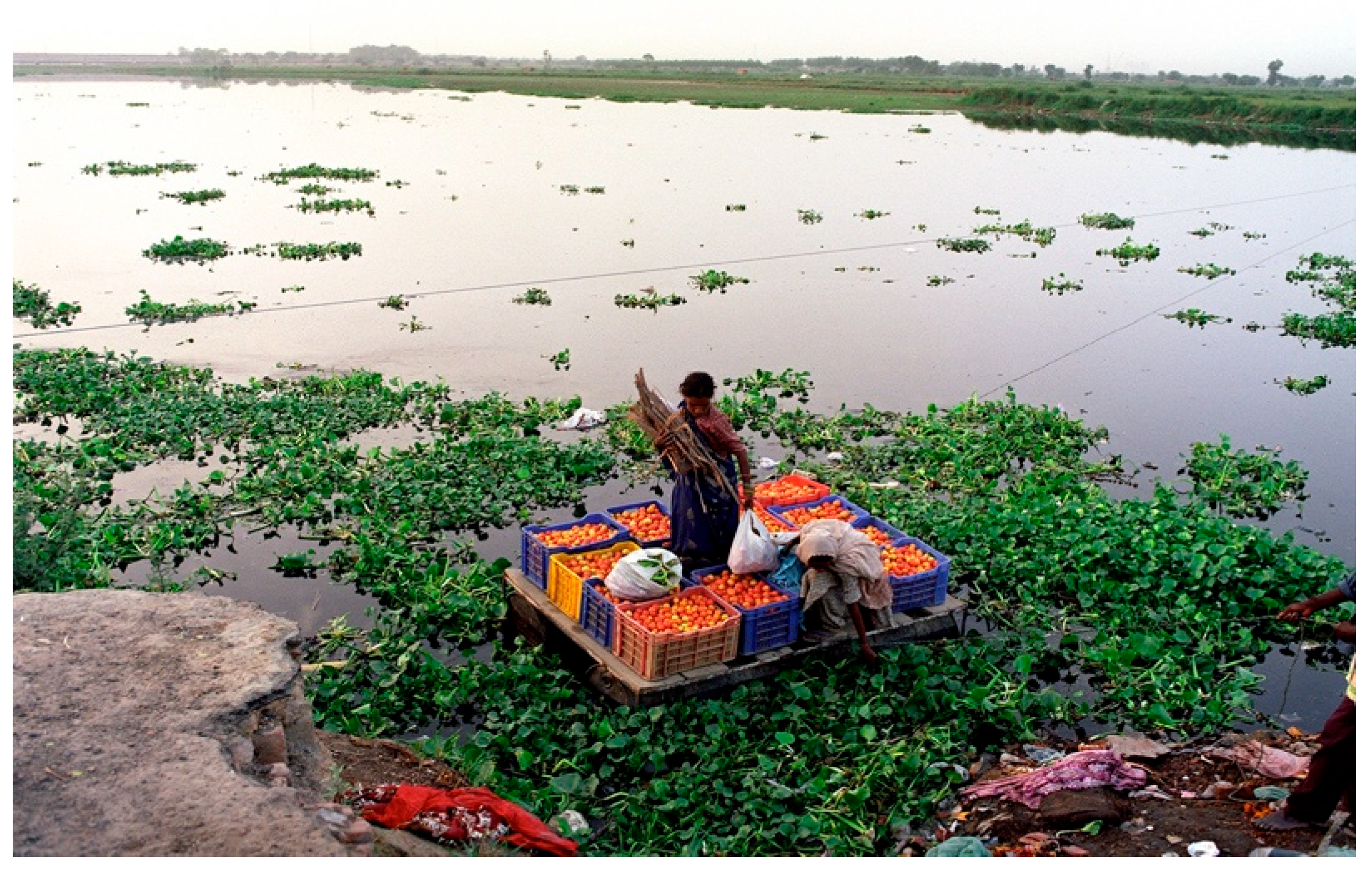 Arts 13 00108 g008 Arts 13 00108 g008