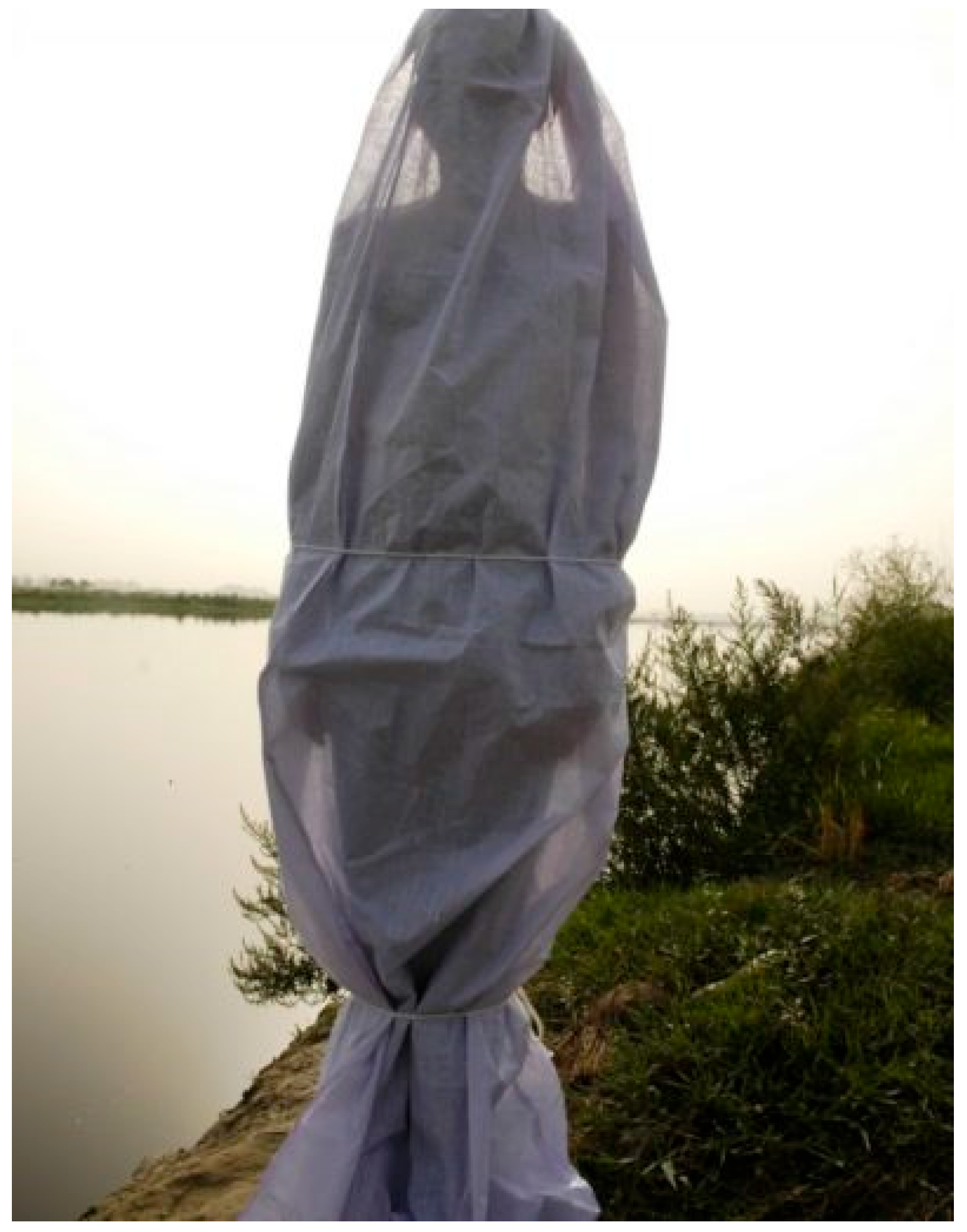 Arts 13 00108 g011 Arts 13 00108 g011