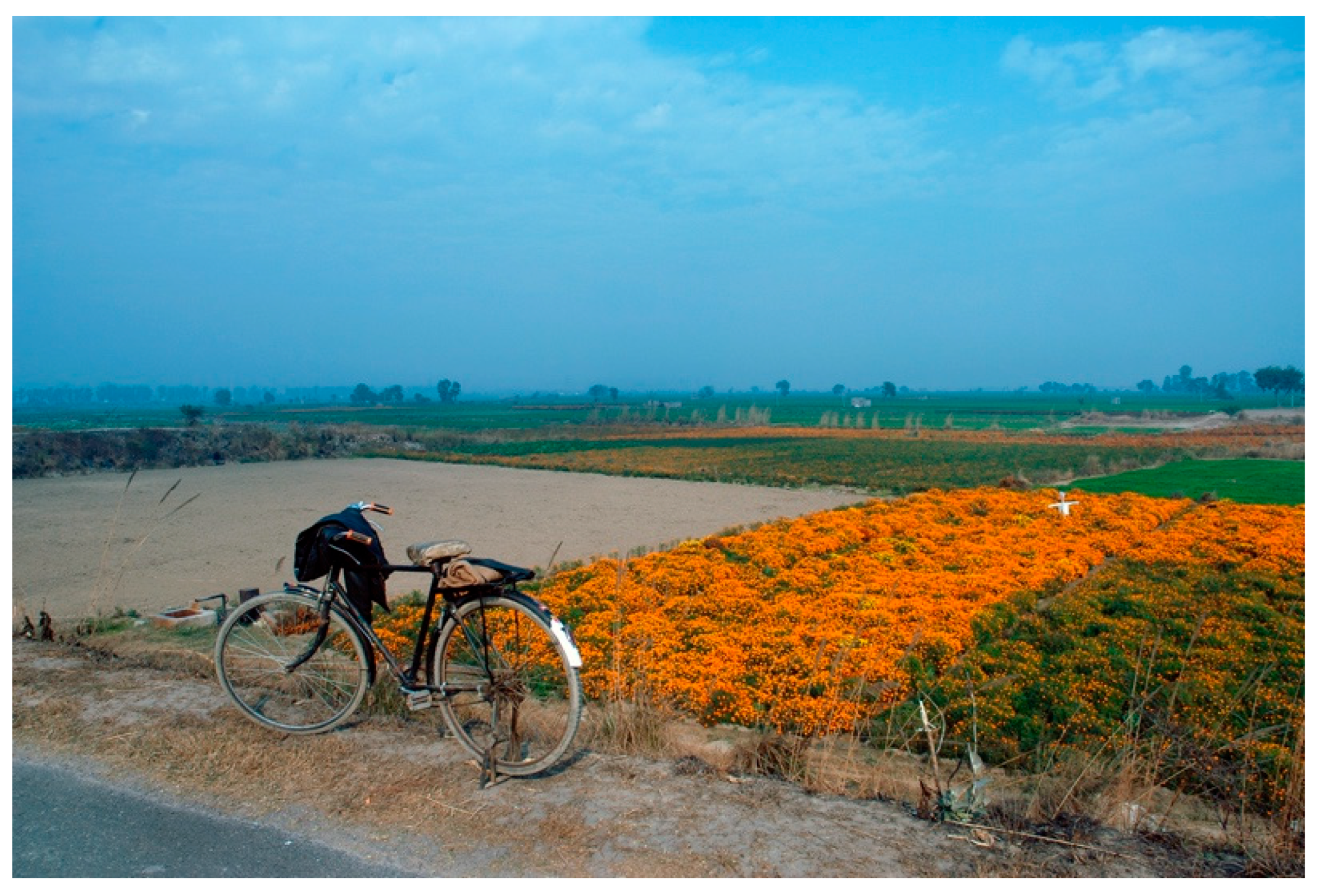 Arts 13 00108 g012 Arts 13 00108 g012