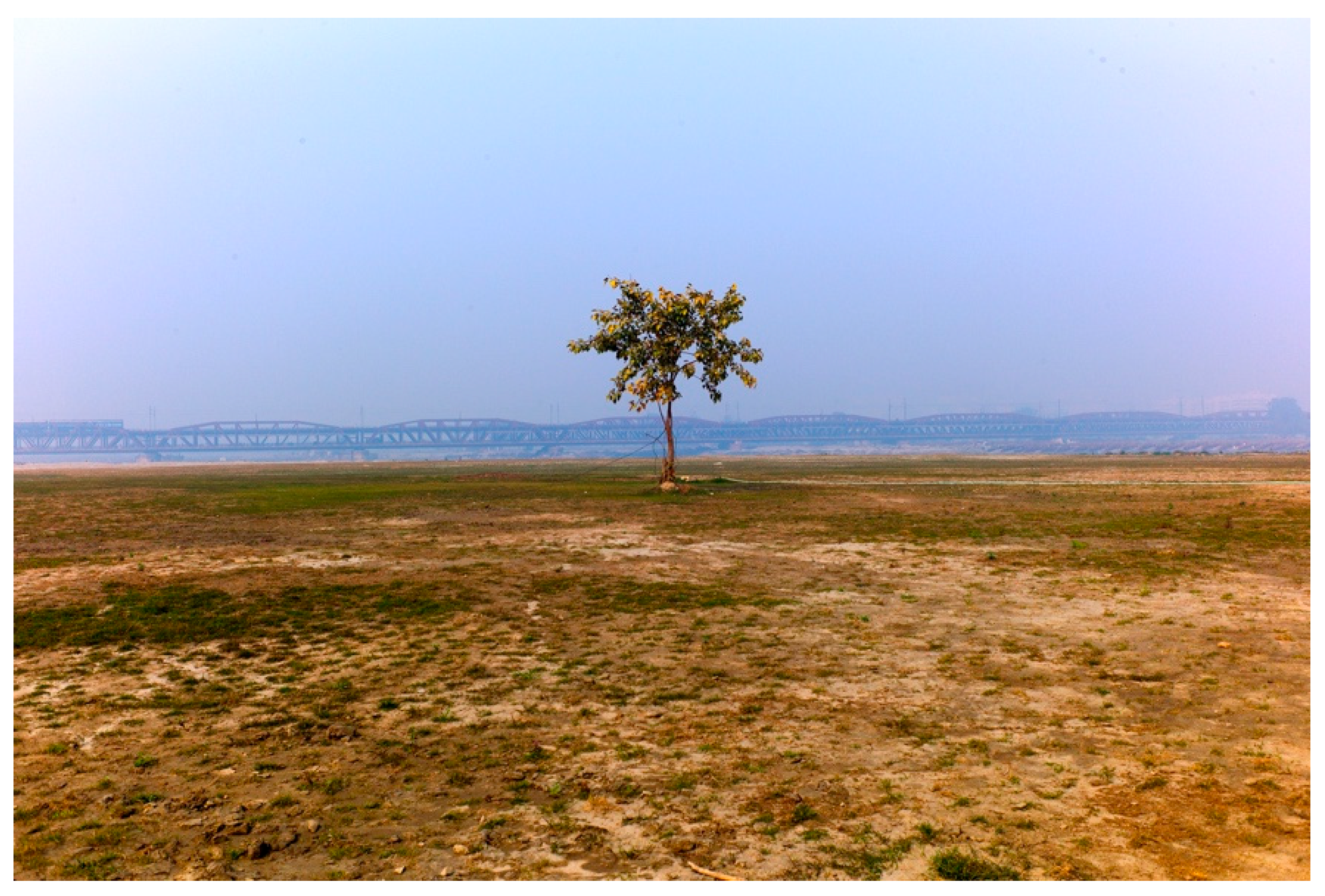 Arts 13 00108 g020 Arts 13 00108 g020