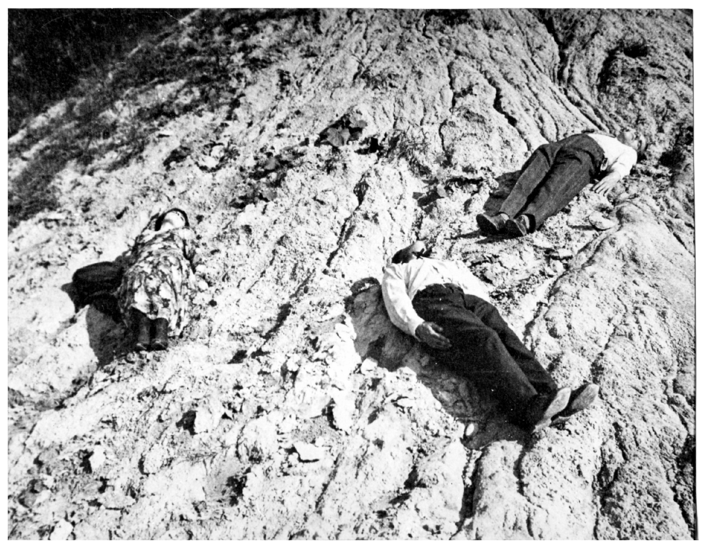 Arts 13 00145 g001 Arts 13 00145 g001