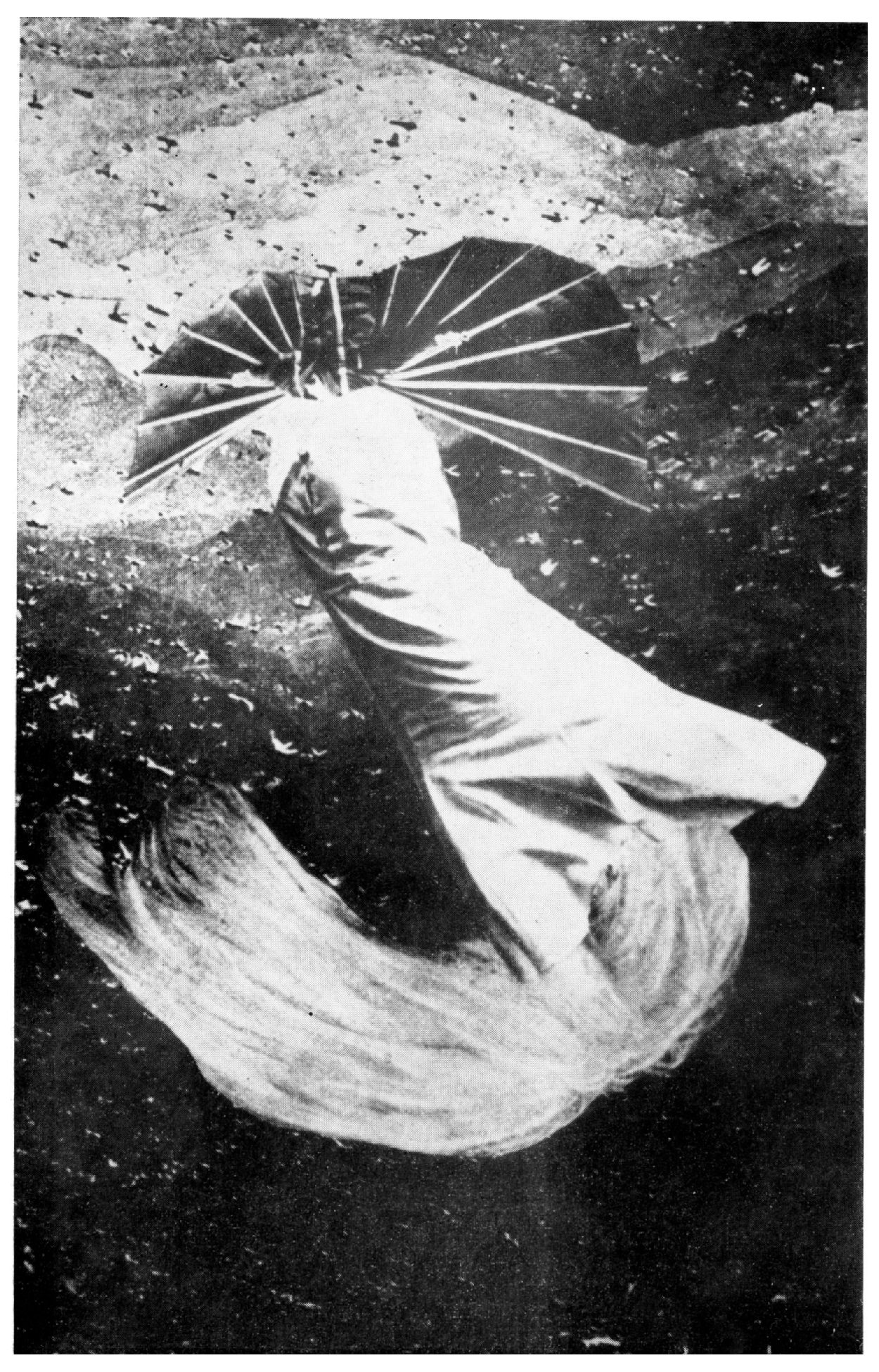 Arts 13 00145 g011 Arts 13 00145 g011