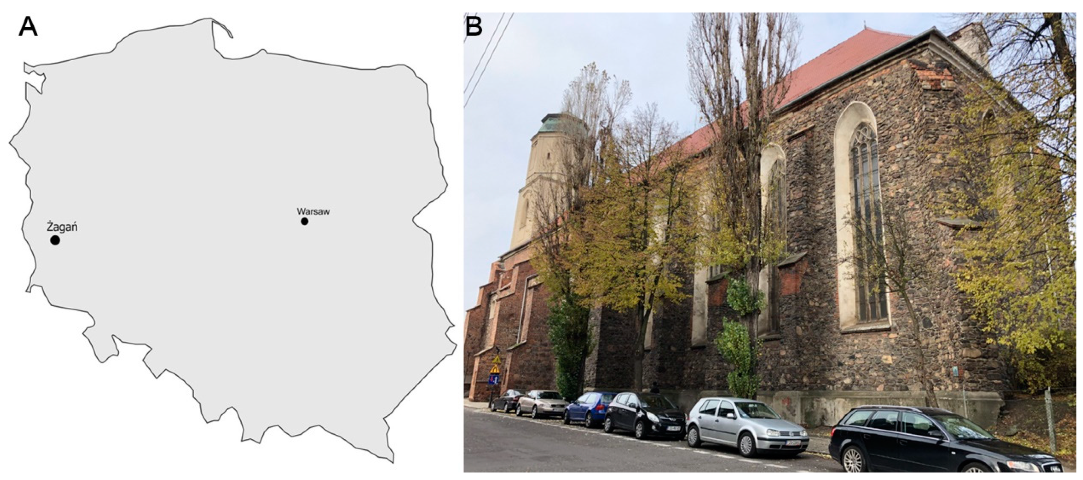 Arts 14 00011 g001 Arts 14 00011 g001