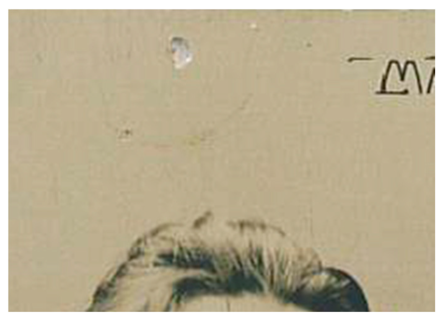 Arts 14 00102 g003 Arts 14 00102 g003