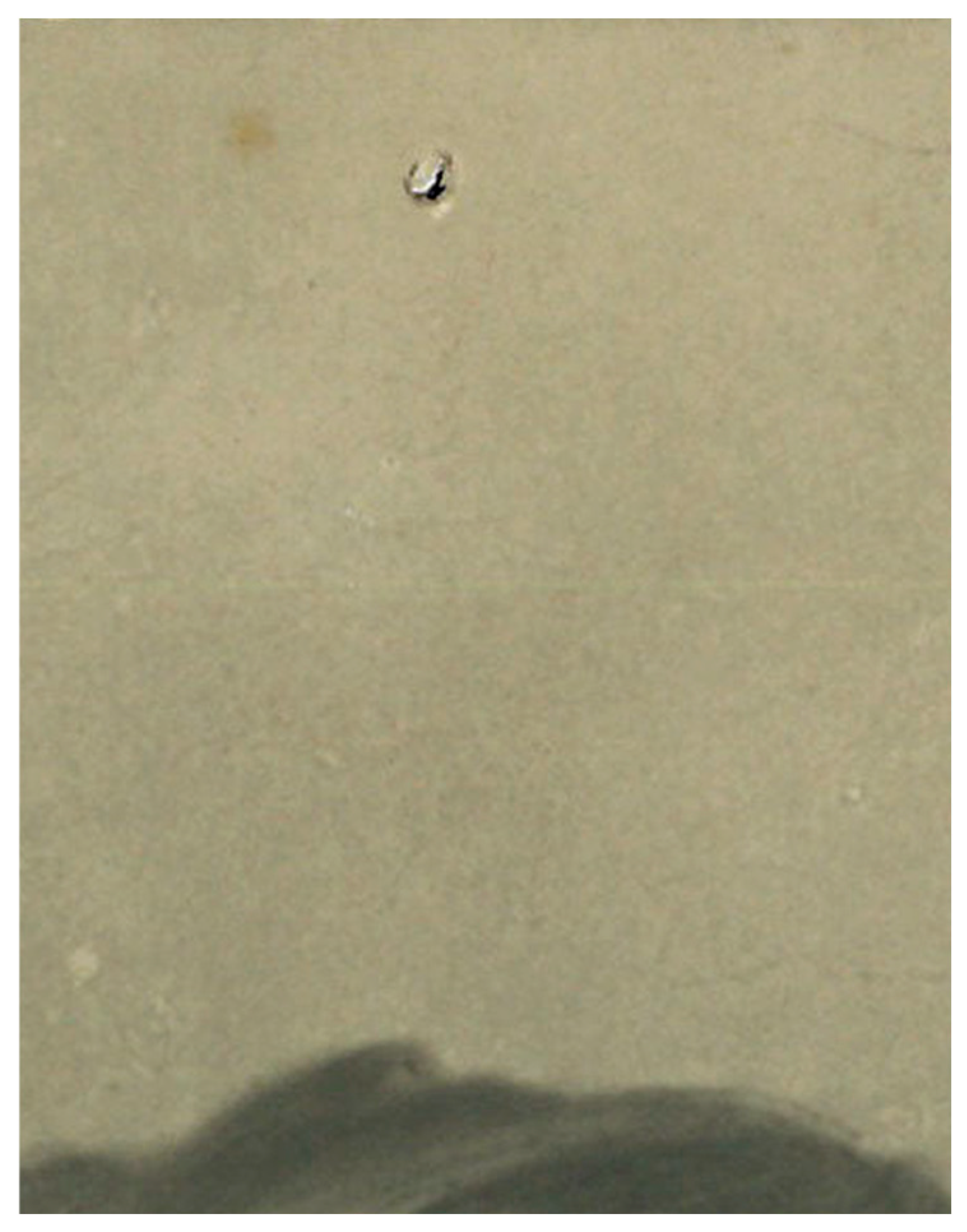 Arts 14 00102 g005 Arts 14 00102 g005