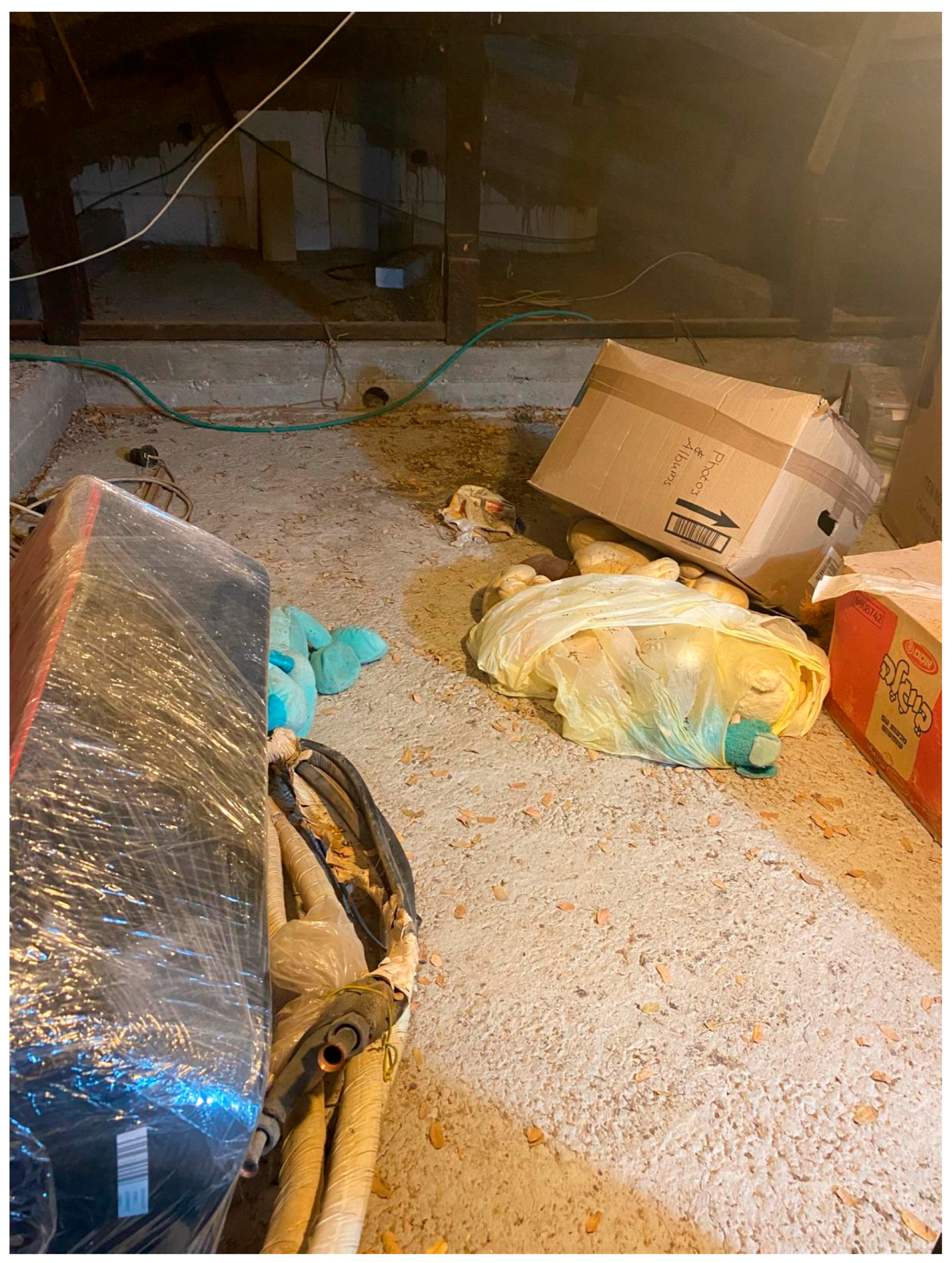 Arts 15 00003 g003 Arts 15 00003 g003