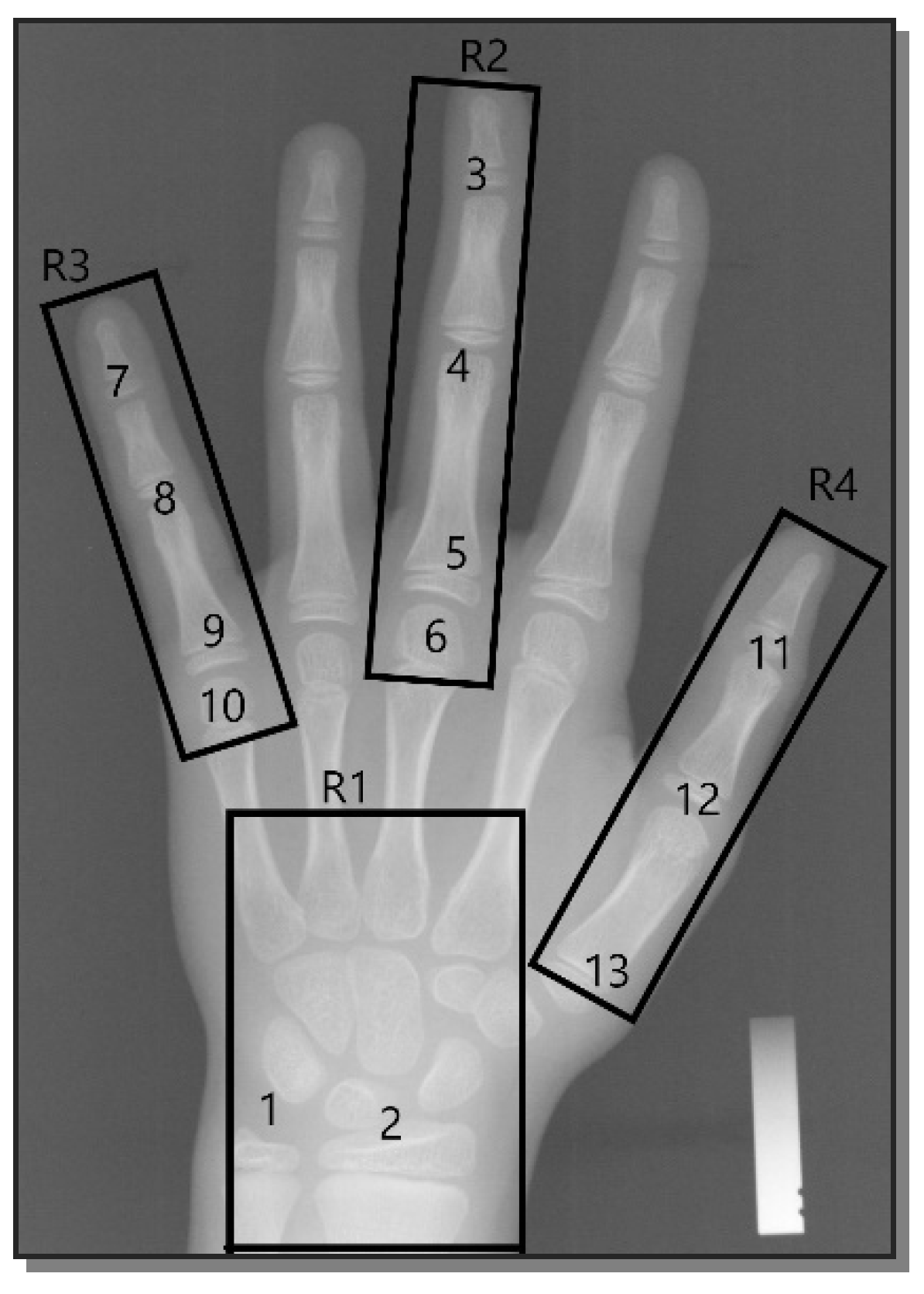 Asi 06 00021 g001 Asi 06 00021 g001