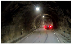 Asi 06 00055 i003 Asi 06 00055 i003