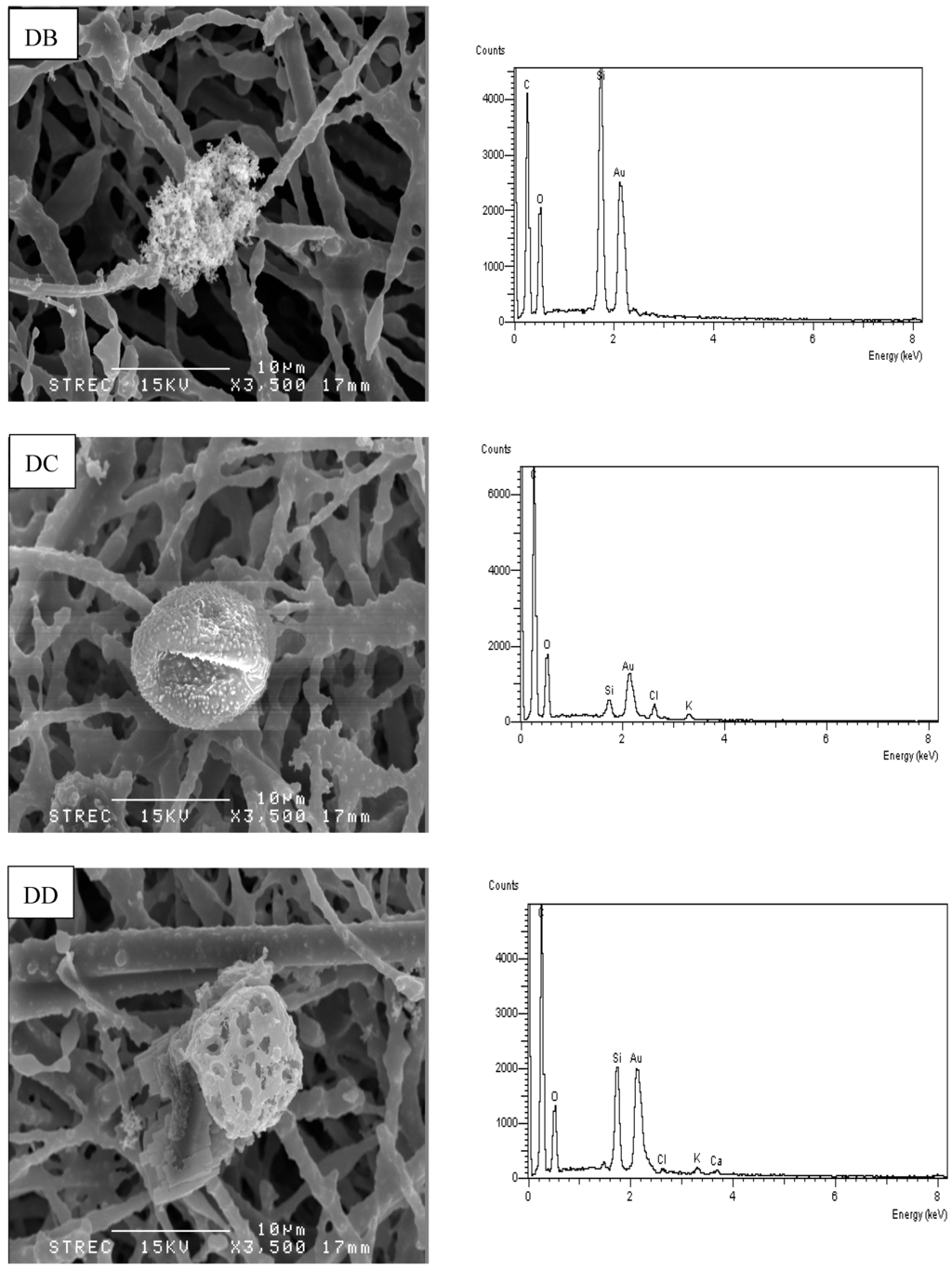 Atmosphere 05 01002 g005b 1024