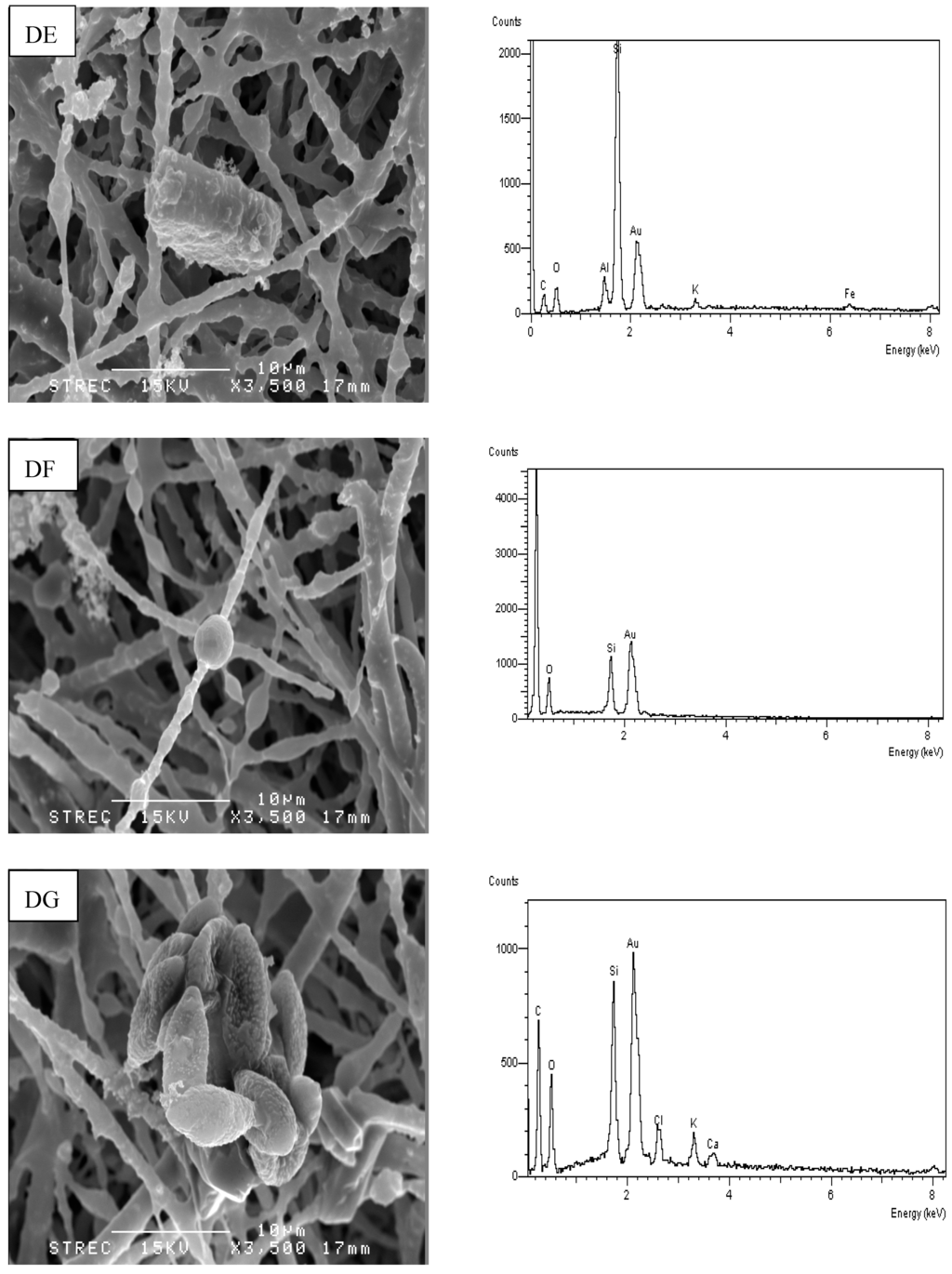 Atmosphere 05 01002 g005c 1024