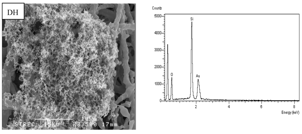 Atmosphere 05 01002 g005d 1024