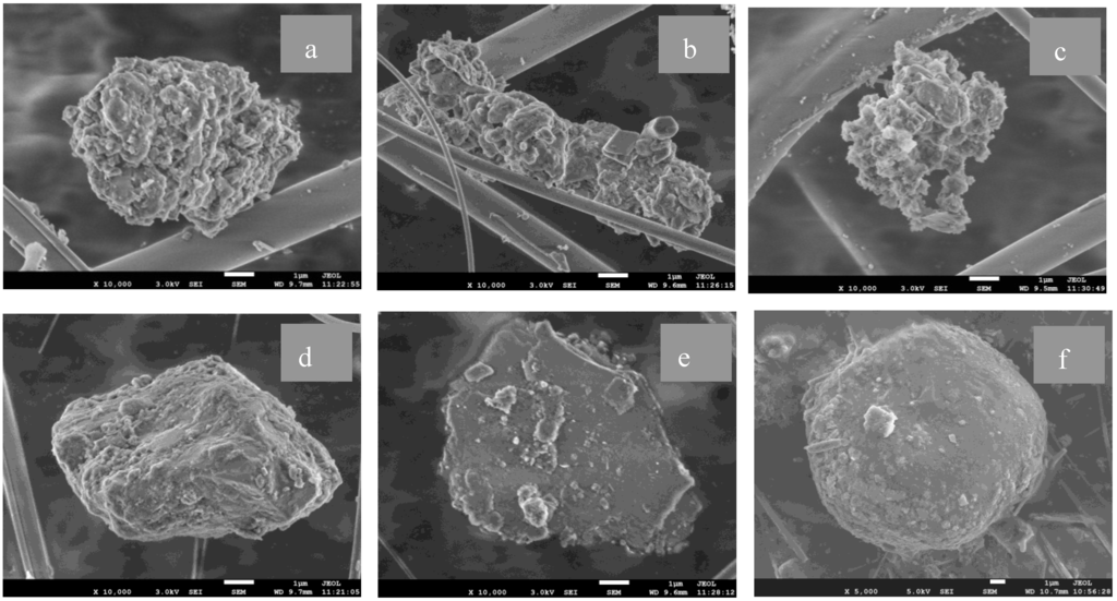 Atmosphere 06 01195 g004 1024