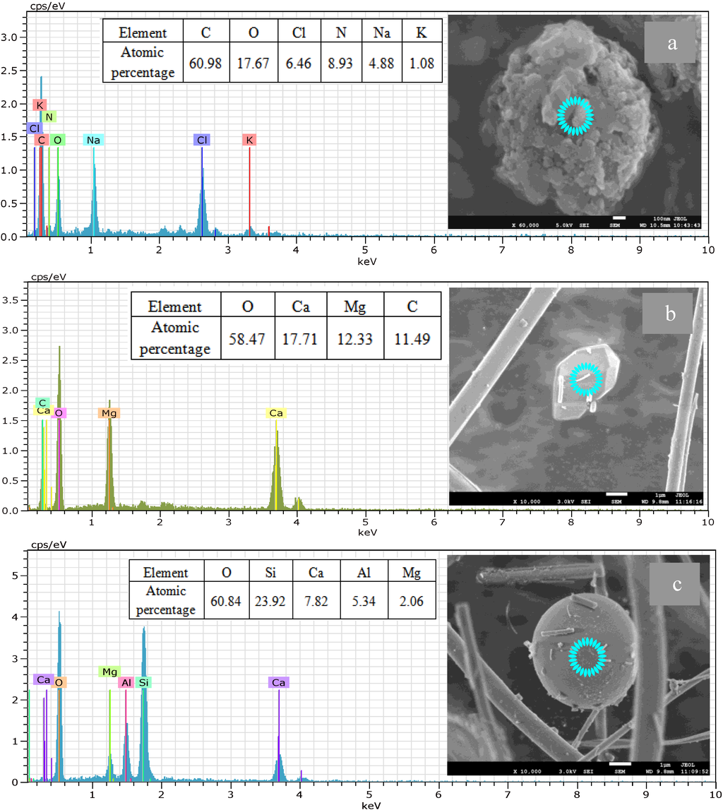 Atmosphere 06 01195 g007 1024
