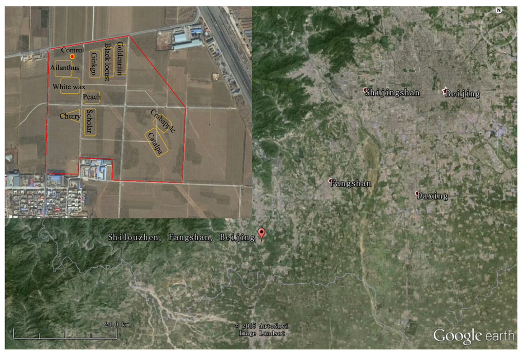 Atmosphere 06 01801 g001 1024