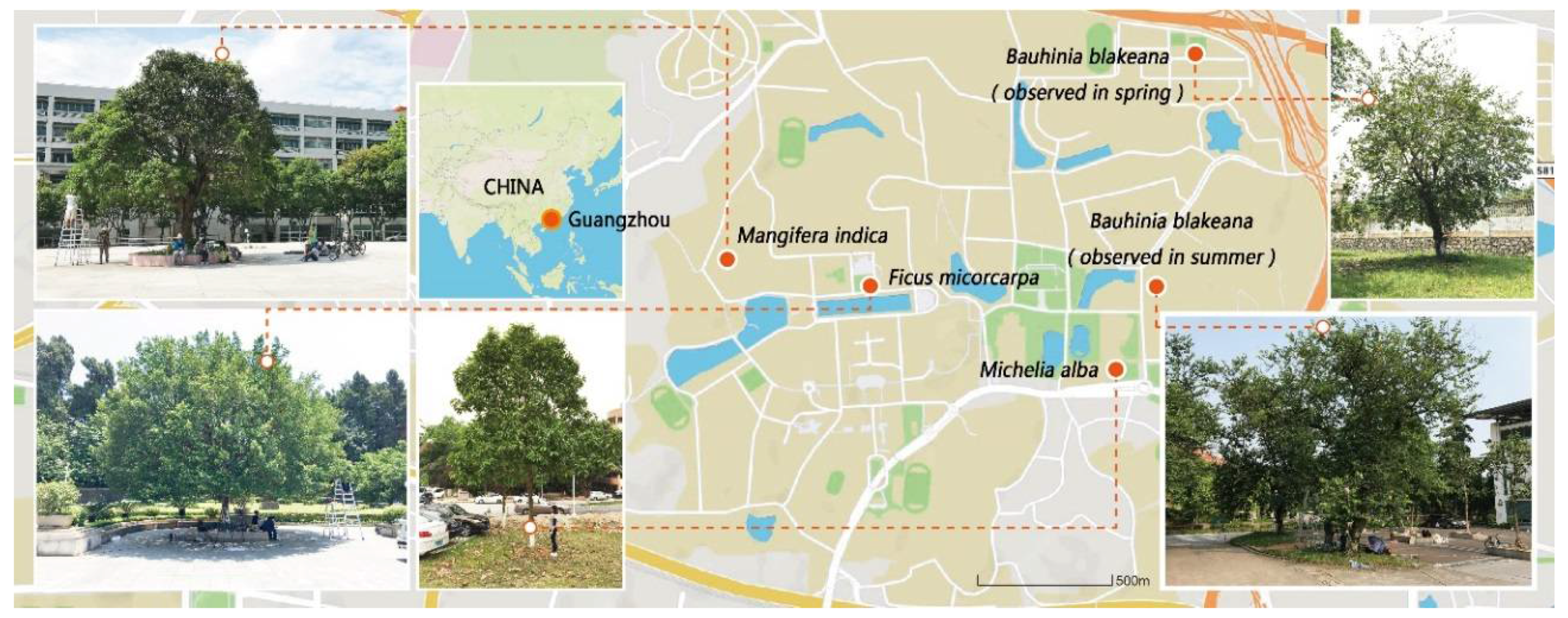 Atmosphere 09 00198 g001