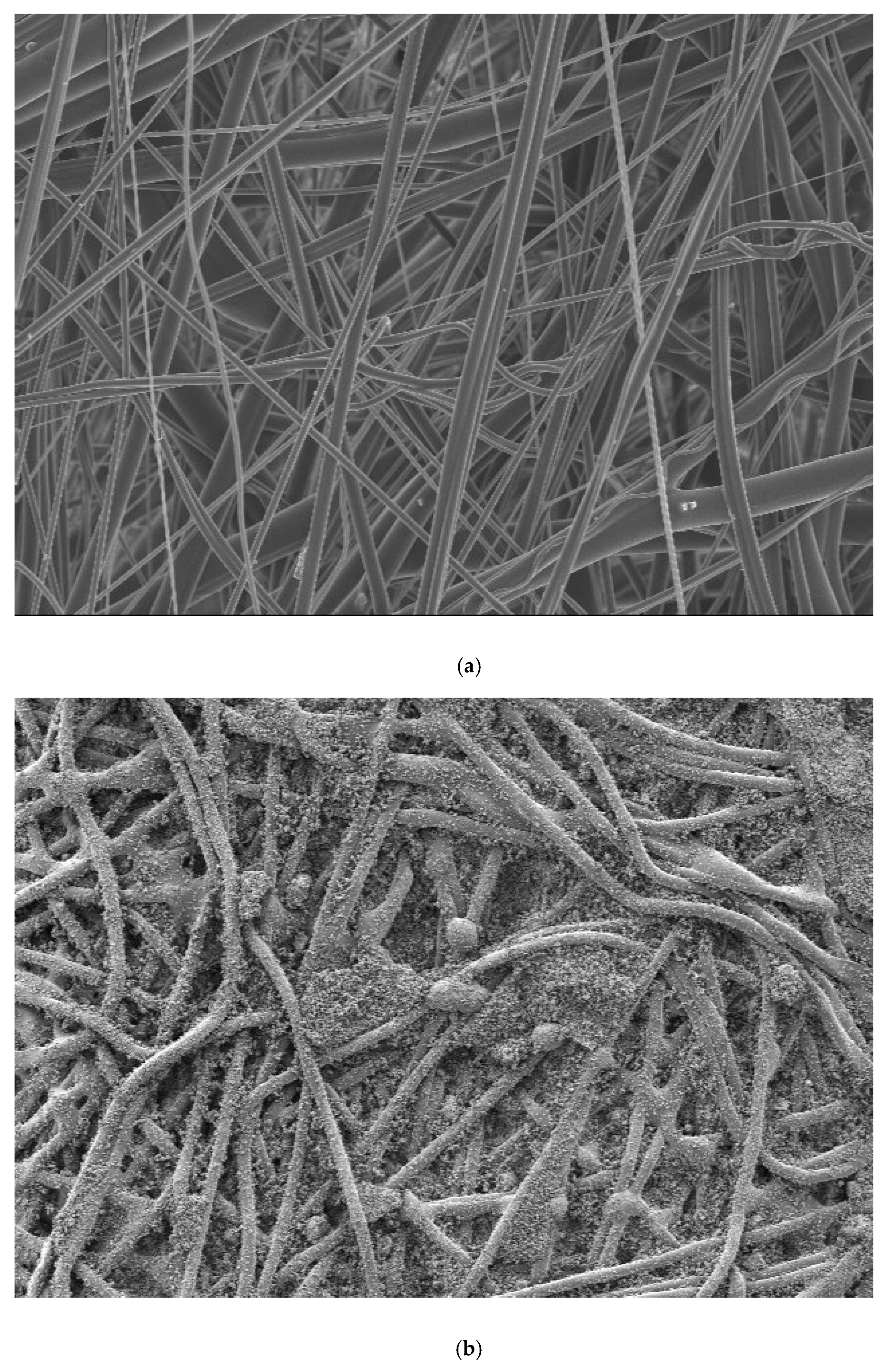 Atmosphere 10 00100 g011