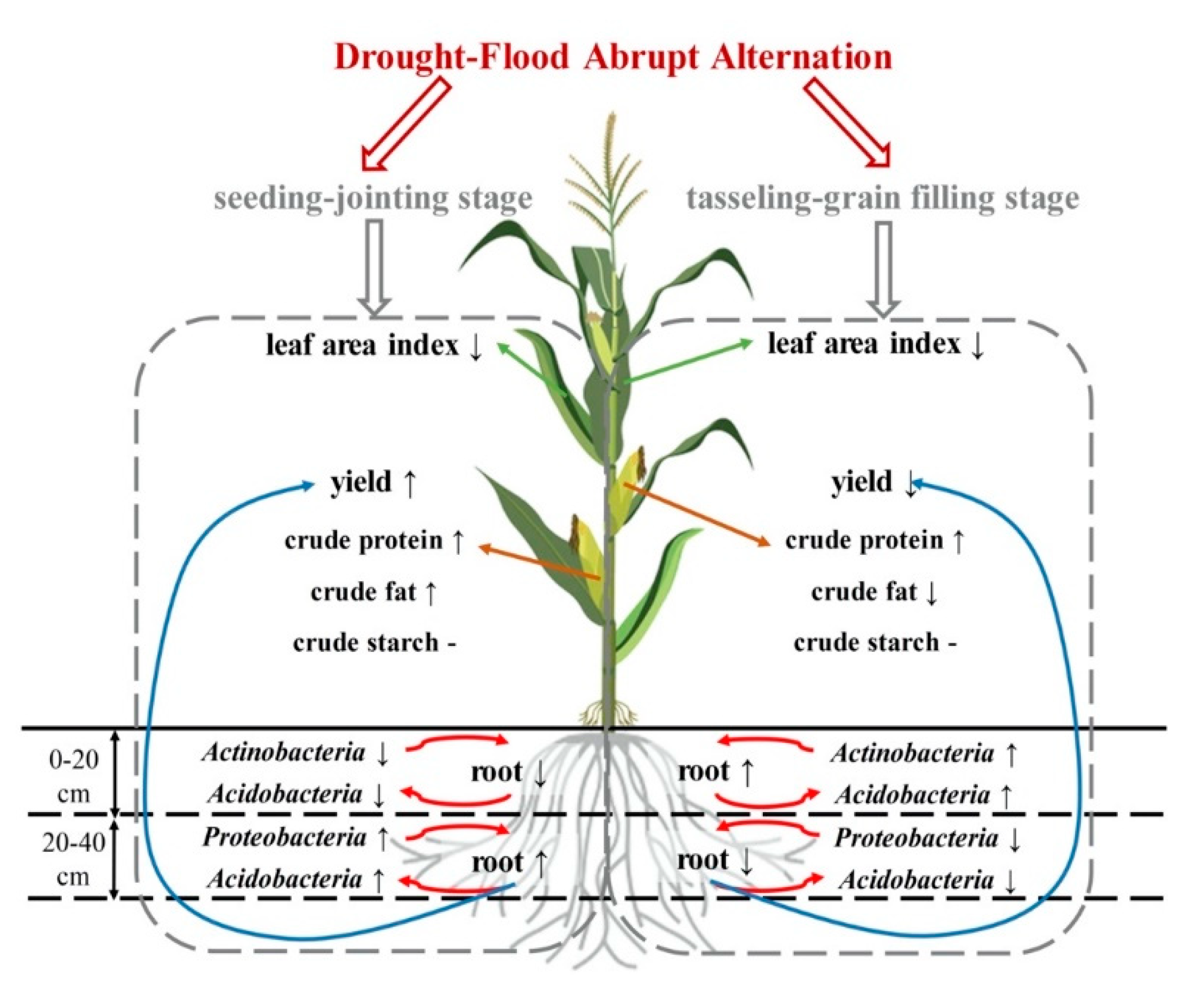 Atmosphere 11 00021 g009