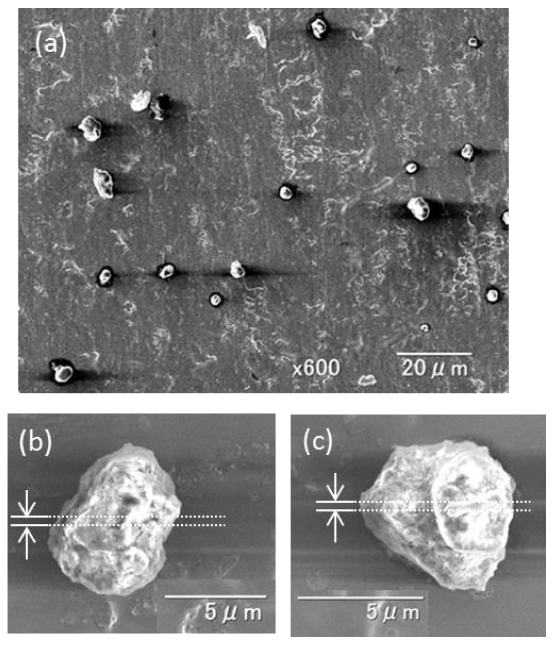 Atmosphere 11 00078 g002