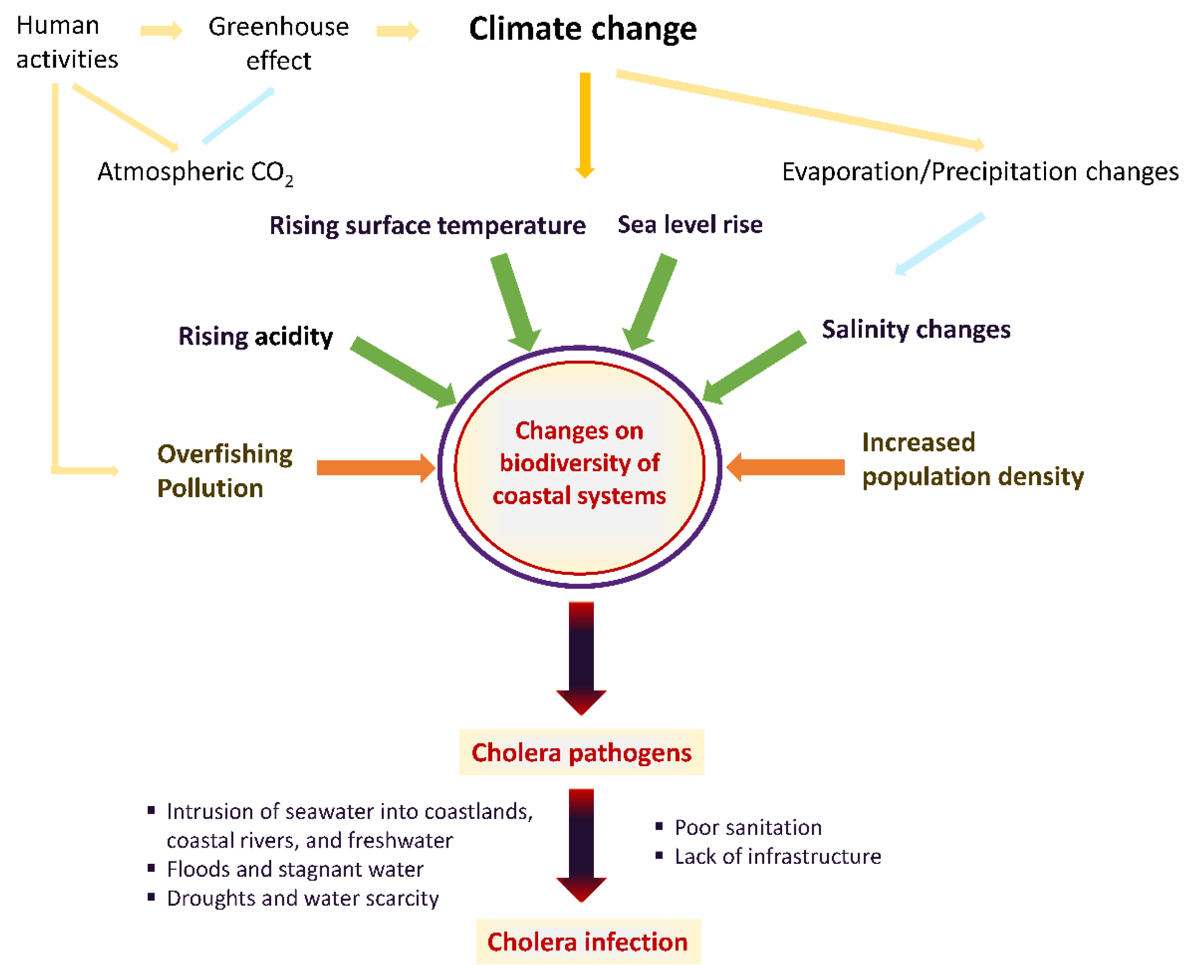 Atmosphere 11 00449 g001