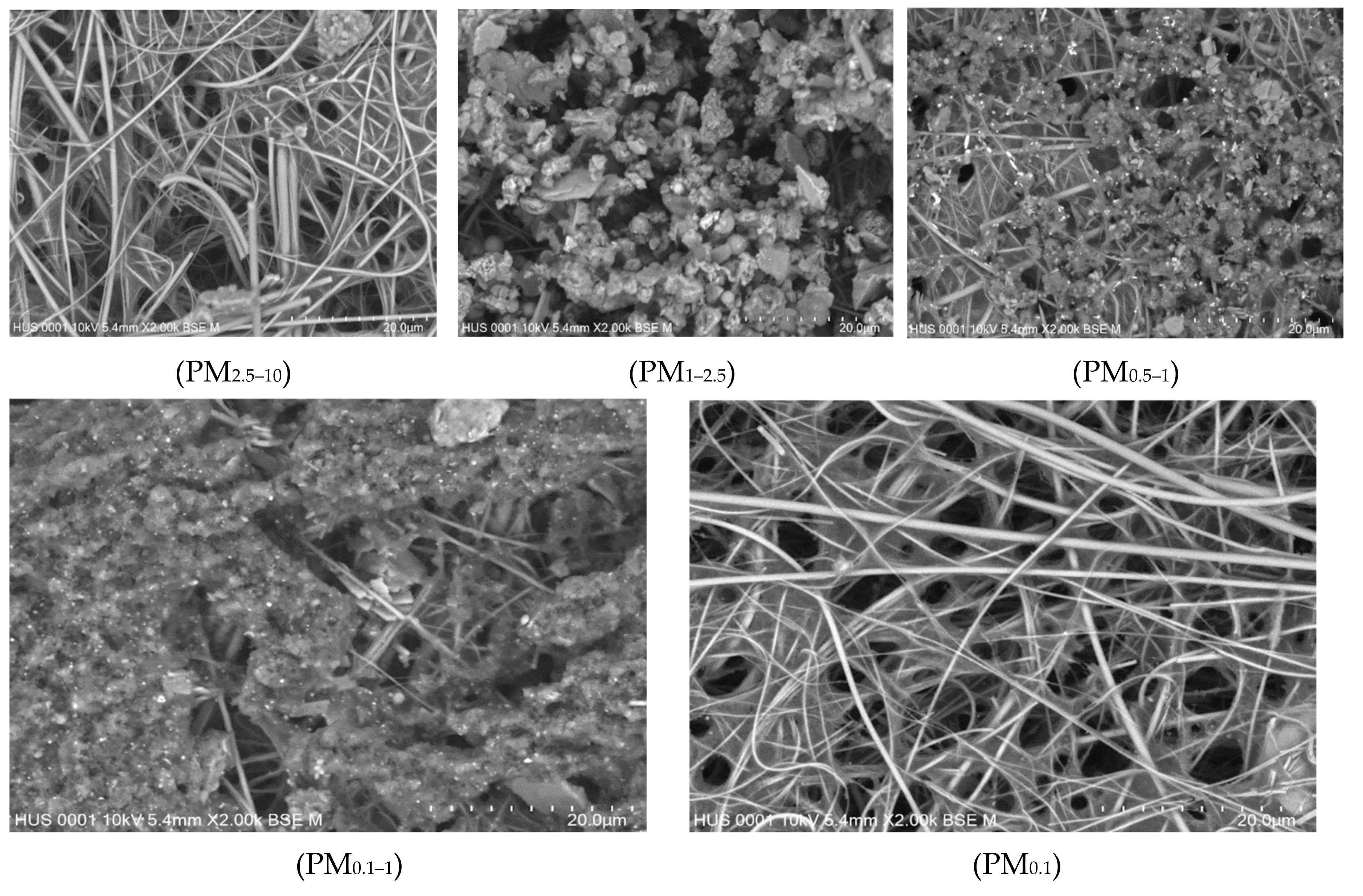 Atmosphere 11 00519 g003 Atmosphere 11 00519 g003