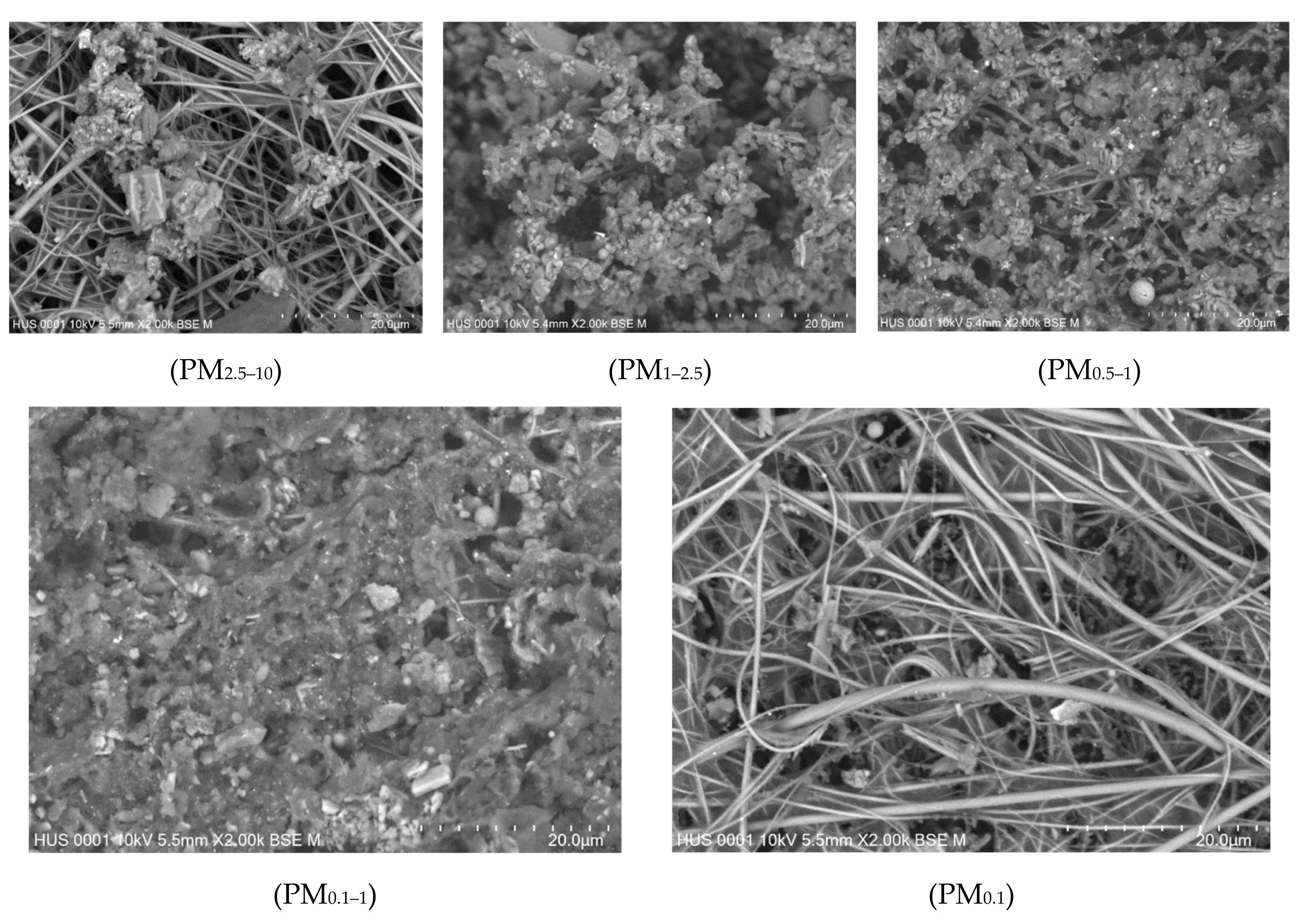 Atmosphere 11 00519 g005 Atmosphere 11 00519 g005