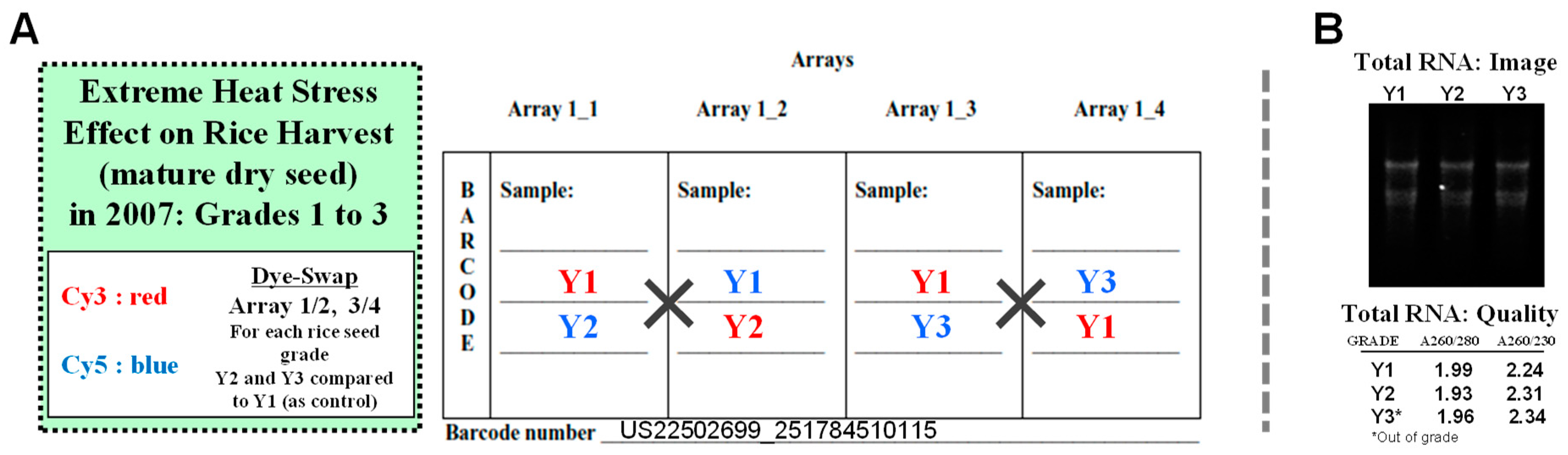 Atmosphere 11 00528 g007