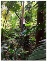 Atmosphere 11 00652 i005 Atmosphere 11 00652 i005